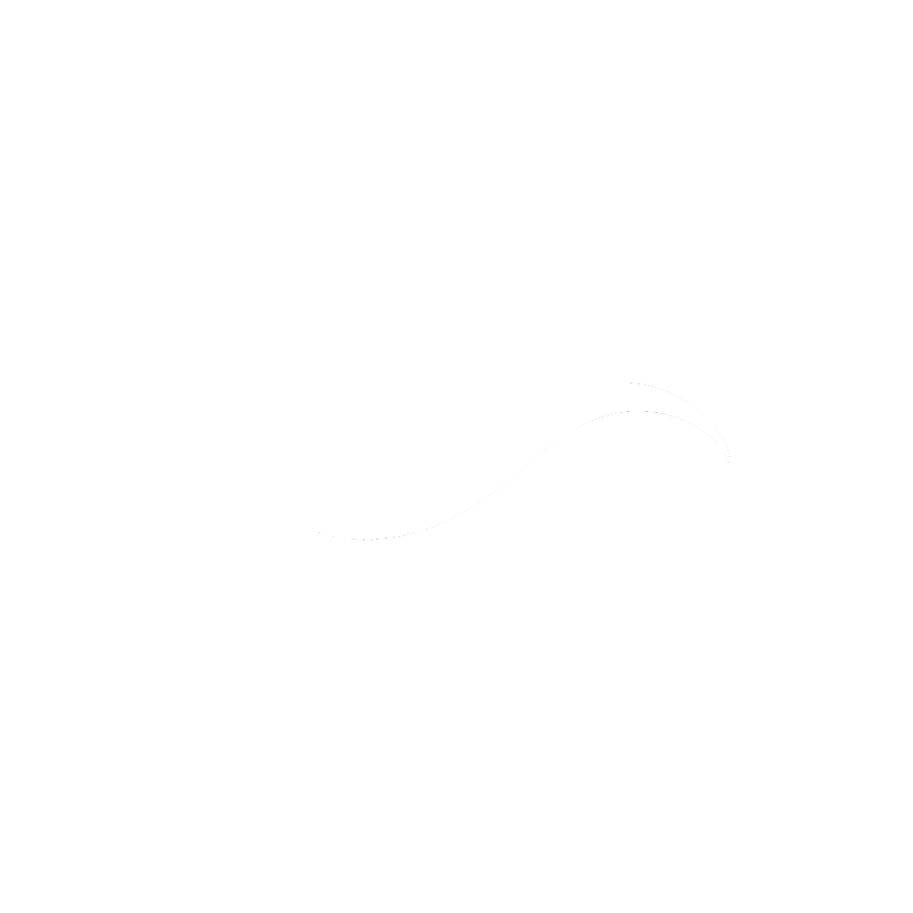 Ship Gemi Logo Beyaz